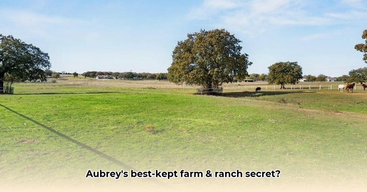 tractor-supply-aubrey-tx